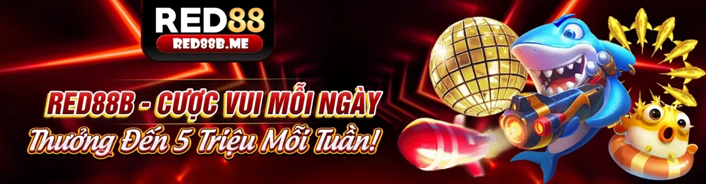 Hình ảnh minh họa hướng dẫn an toàn cá cược trực tuyến tại dh88 khuyến mãi