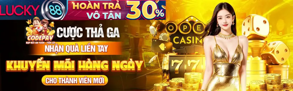 Bảo mật an toàn dh88